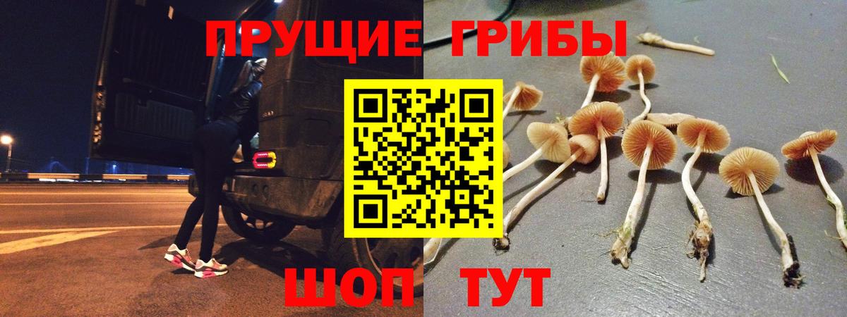 Омск  Псилоцибиновые грибы Psilocybine cubensis  Вход с VPN 